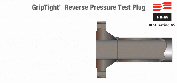 Grip Tight reverse pressure test plug